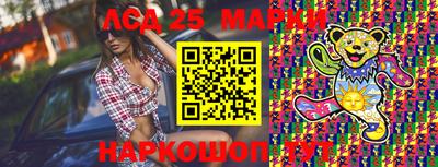 хмурый Сланцы