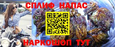 хмурый Сланцы