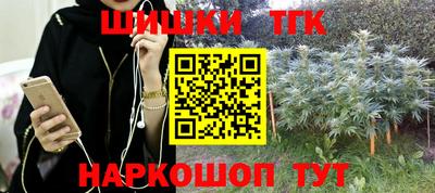 хмурый Сланцы