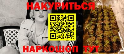 хмурый Сланцы