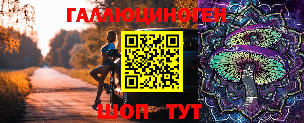 Галлюциногенные грибы Psilocybine cubensis  Вход с VPN  Галлюциногенные грибы Cubensis  Нальчик 